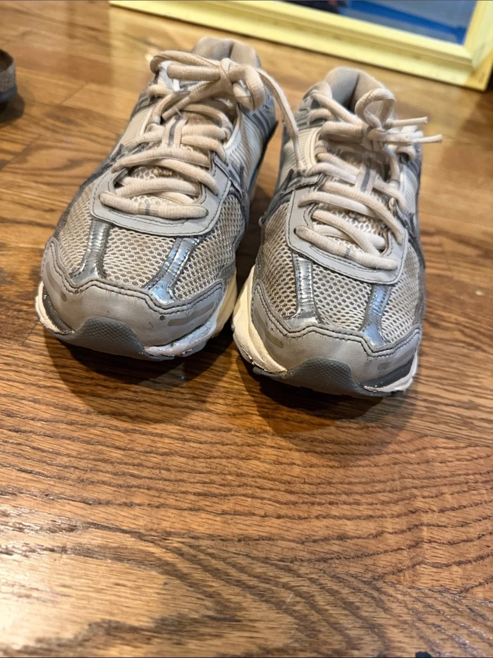 Nike Mens Zoom Vomero 5